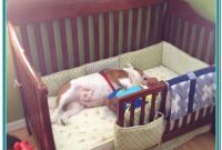 Baby Cribs Turn Into Beds Baby Cribs Turn Into Beds