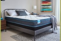Mattress Firm Bed Frame Twin Mattress Firm Bed Frame Twin