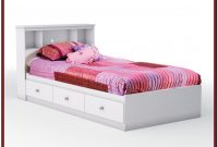 Queen Size Trundle Bed With Storage Queen Size Trundle Bed With Storage