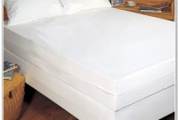 Dust Mites In Bed Mattresses Dust Mites In Bed Mattresses