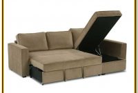 Sectional Sofa With Chaise And Pull Out Bed Sectional Sofa With Chaise And Pull Out Bed